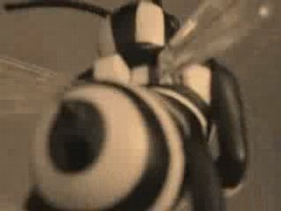 BEEZZZZ