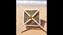 HEMP ON BEACH AI
