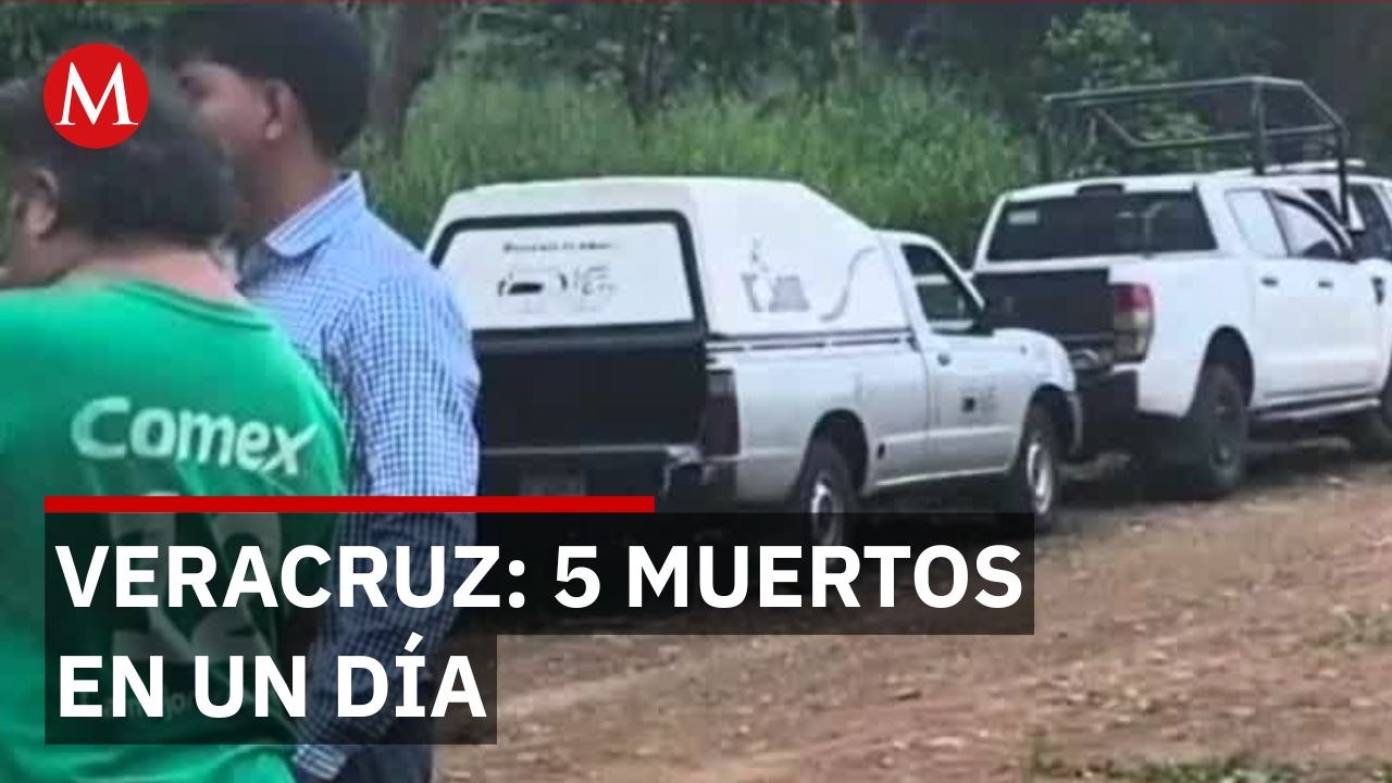 Se registran 5 asesinatos en 24 horas en Veracruz; autoridades sin detenidos