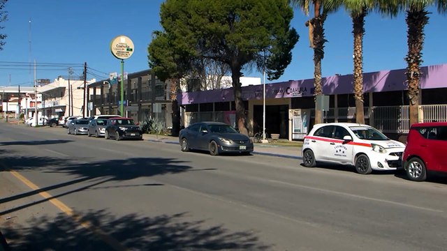 Región Centro registra cuatro defunciones por rickettsiosis en lo que va del año.