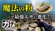 【ガチ検証】魔法の粉で最強エサに進化！？こんにゃくで穴釣りしてみた！！