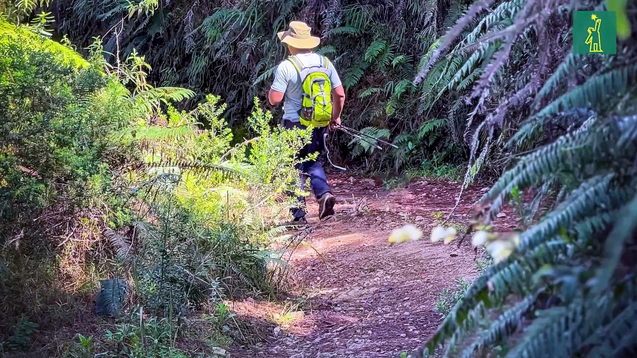 Guayabal-Constanza: una ruta ecoturística de aguas termales, amor al medio ambiente y de ayuno tecnológico