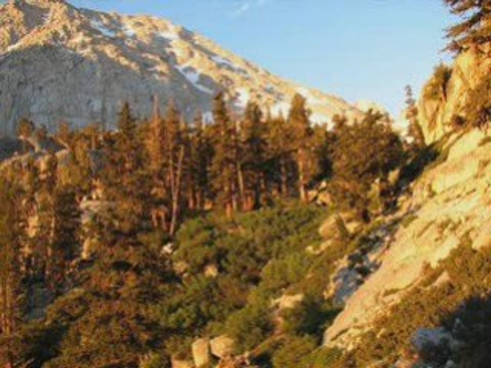 Formidable morceau anachid