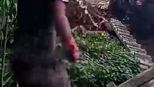 pelan dan hati hati