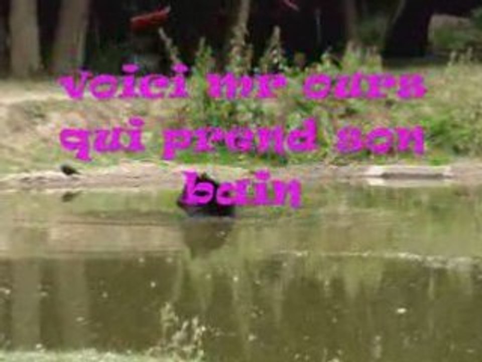 Juin 2008 ZOO DE THOIRY