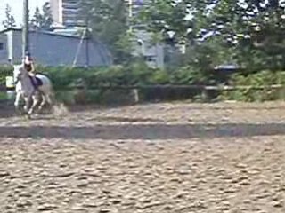 Galop dans la carrière