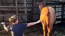 Horses' Darkest Secrets Revealed! 🐴🤯 Things They'd NEVER Tell Humans!