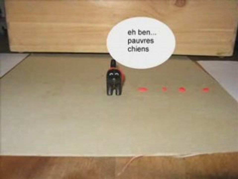 Pauvres chiens