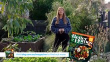 Better Homes and Gardens Season 32 Episode 38