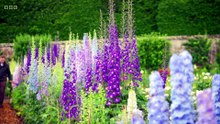 Gardeners' World (1968) Season 59 Episode 16