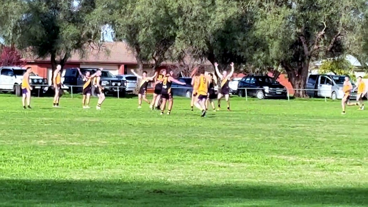 LVFNL: BL-Serpentine v Macorna. July 4, 2026.