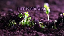 Your Harvest Is Coming | Don't Give Up On God | Galatians 6:9