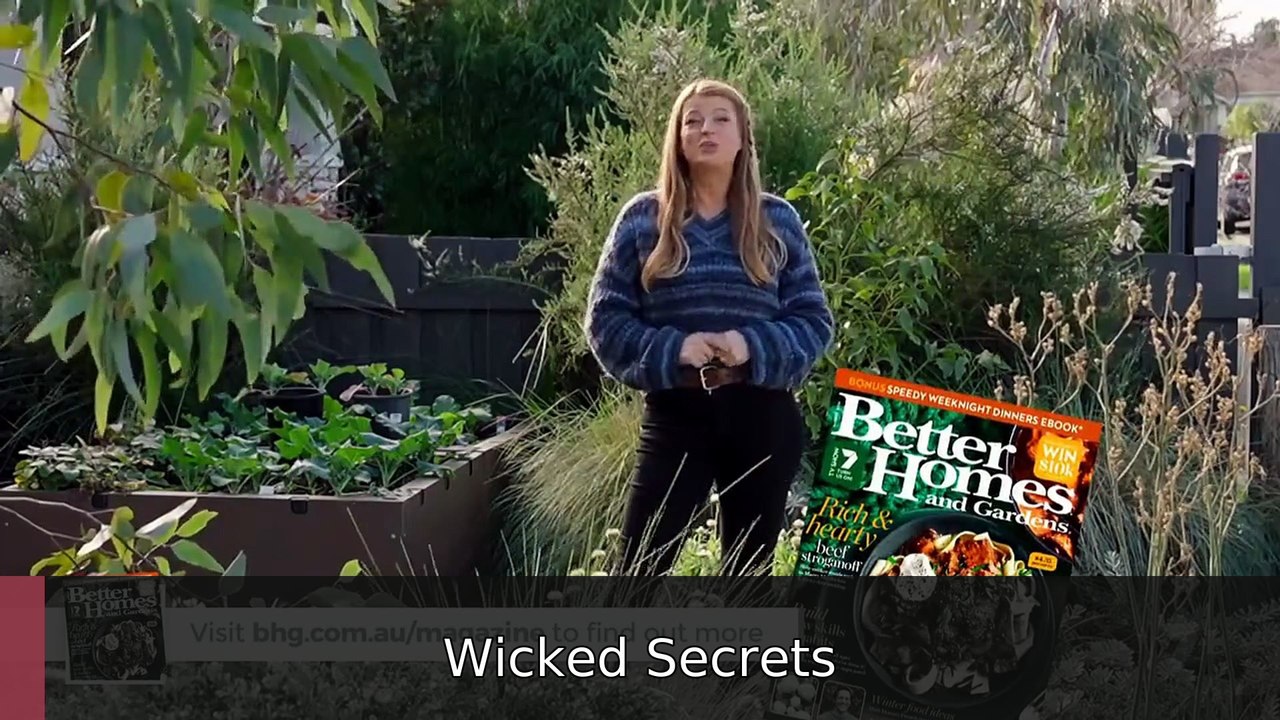 Better Homes and Gardens Season 32 Episode 38 #engsub #fullmovie🍿🎬 | Wicked Secrets