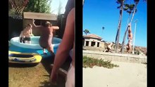 Hilarious Fail videos