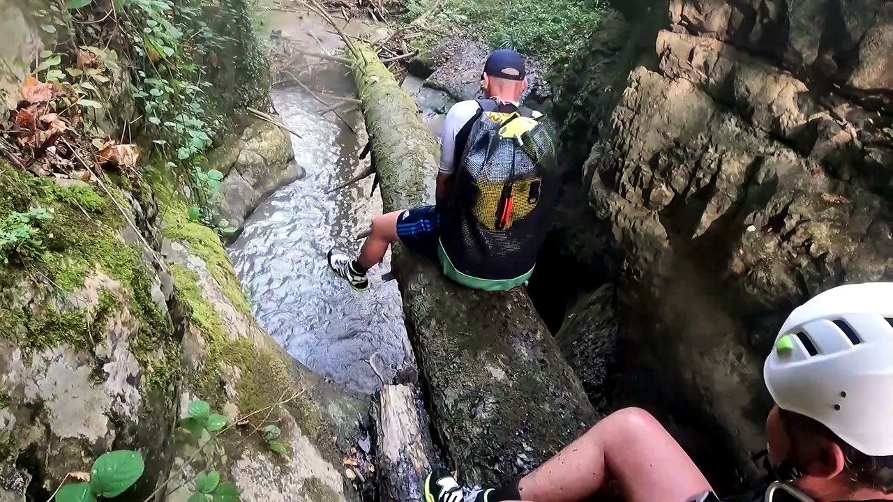 Canyon Carré 2023 (Never Tear Us Apart)