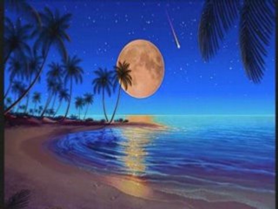 video de superbe photos, paysage, animaux, humour.