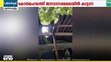 കോതമം​ഗലത്ത് ജനവാസമേഖലയിൽ വീടിന്റെ മേൽക്കൂര തകർത്ത് കാട്ടാന
