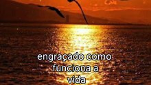 Reflexão do Dia