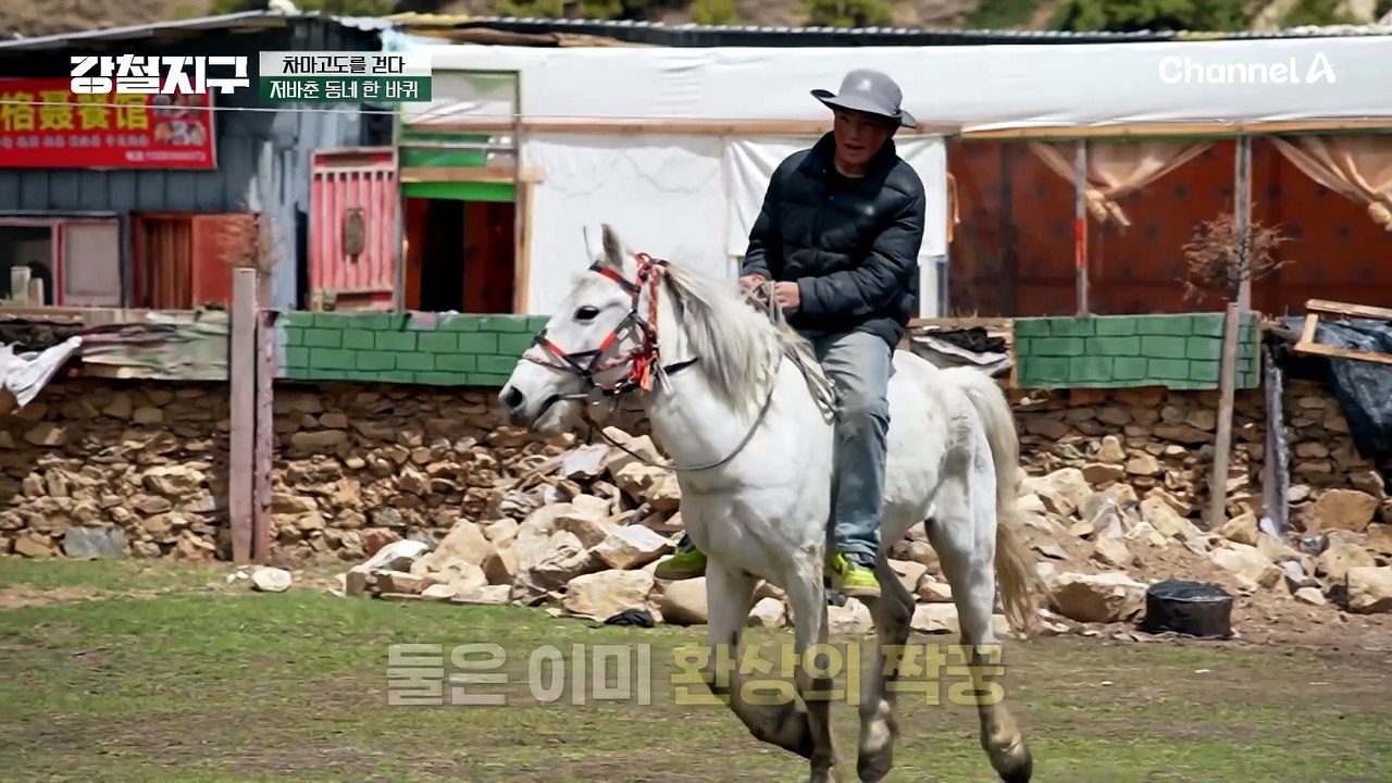티베트 사람들은 말 타고 산책합니다(?) 동규의 저바춘 동네 한 바퀴 with 말