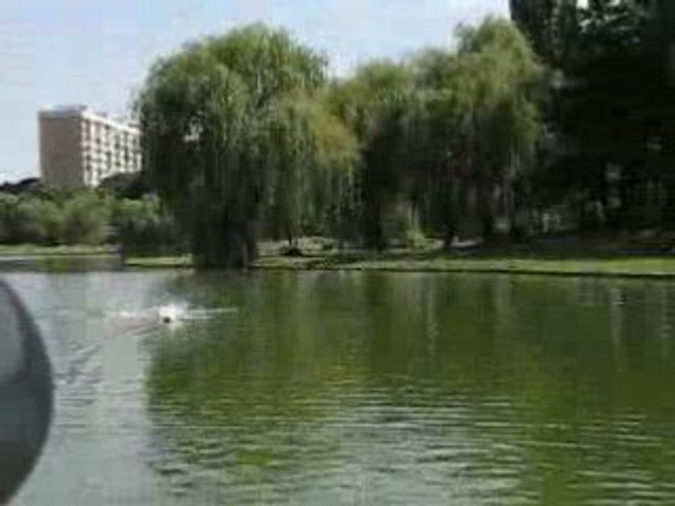 MVI_2485