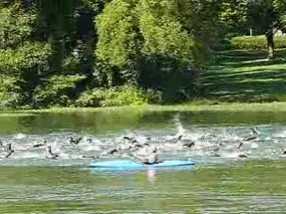 24ème Triathlon international de Dijon