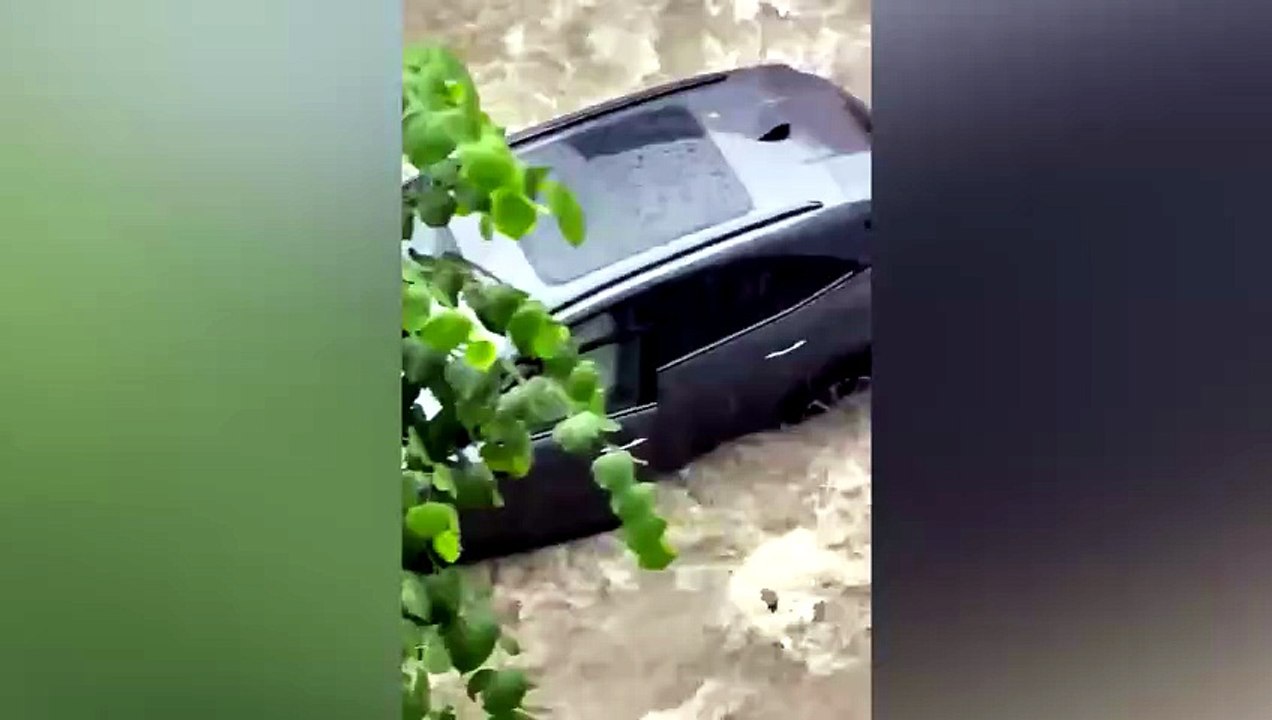 Selin ortasında saksıya tutundu