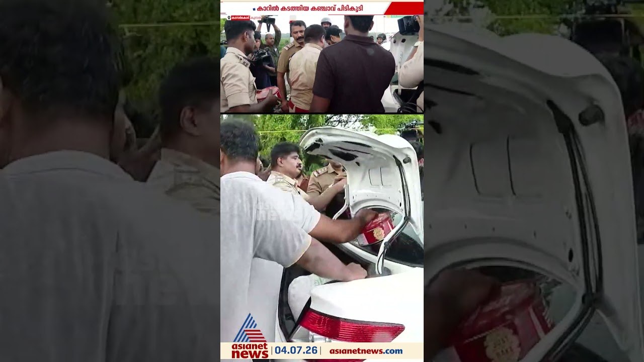 കാസര്‍കോട് വൻ കഞ്ചാവ് വേട്ട; 31 കിലോയിലധികം കഞ്...