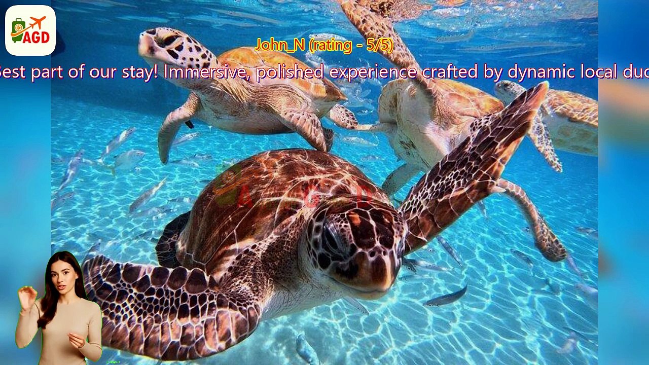 AGD - Review Curacao Swimming with Sea Turtles – Turtle Beach Tour