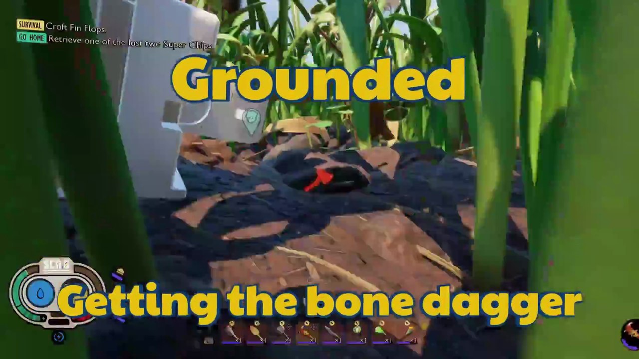 Grounded getting the Bones from the pond bottom the key open the chest #Boosteroid