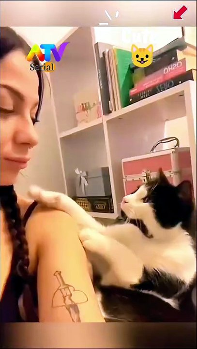 Cute Kitty Loves to Surprise Her! 🥰 Cute Her