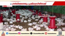 ഇനി എങ്ങനെ മുന്നോട്ട്?; കോഴിത്തീറ്റവിലയും മുകളിലേക്ക്
