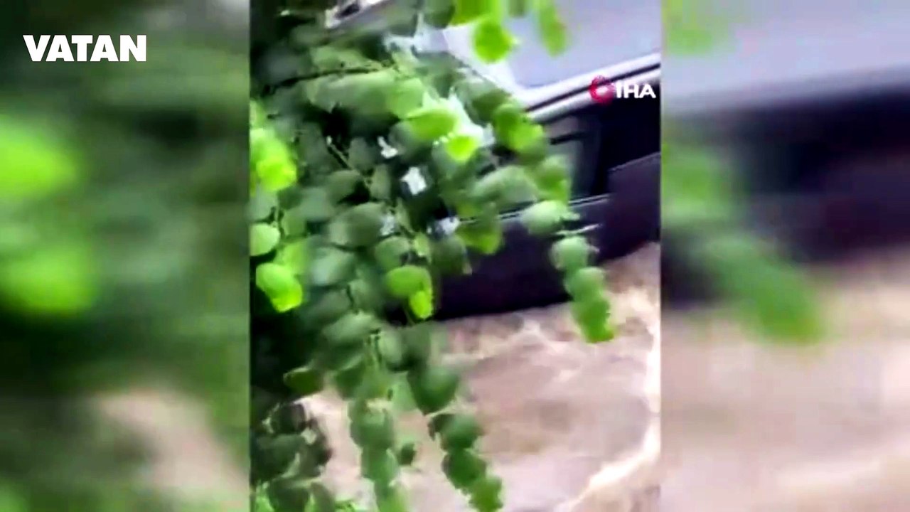İstanbul'da can pazarı! Sulara kapılmak üzere olan kadın son anda kurtarıldı