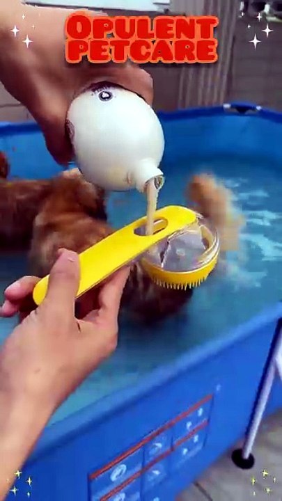 Push-to-Clean Pet Bath Brush for Dogs & Cats — Easy Liquid Dispensing Silicone Grooming Brush