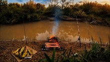 FUE UN DESCONTROL ¡Pique tras pique de BAGRES!, PESCA Y COCINA de asado en el Rio Gualeguaychú 🎣🔥
