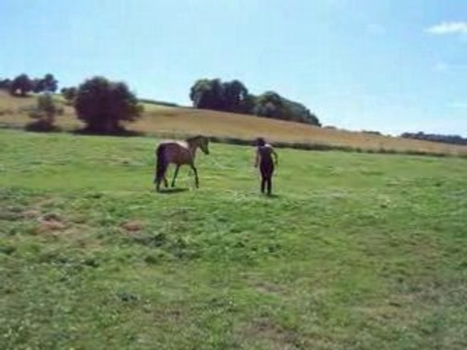 longe+aspiration au trot