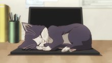 Watch The Cat In My Room Episode 2 IN ENGLISH
