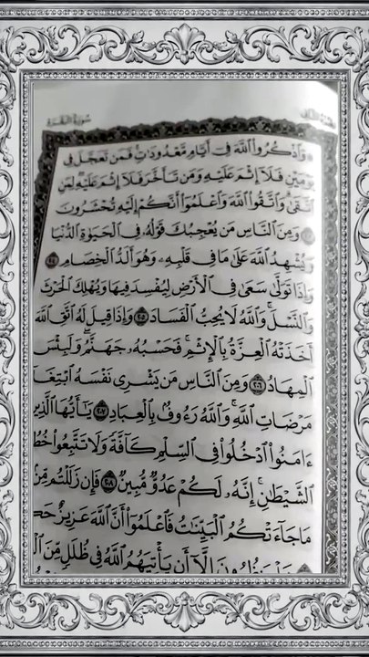 #QuranVibes #NoorEQuran #TilawatForPeace #TheQuranVoice #QuranEcho #FaithAndTilawat #QuranMoments #DivineWords