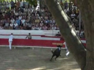 course camarguaise du 29/06/08