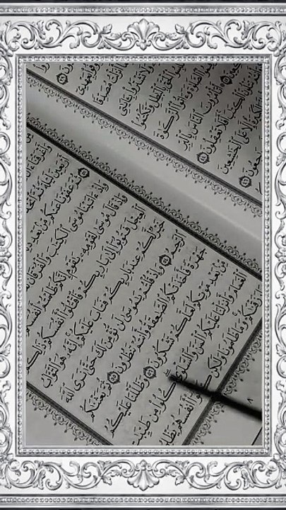 #WordsOfAllah #ListenAndReflect #PureTilawat #HeartsWithQuran #QuranInspiration #QuranVibes #NoorEQuran