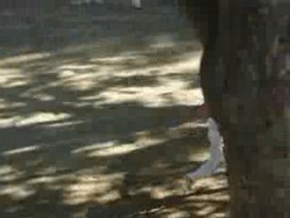 MOV09231