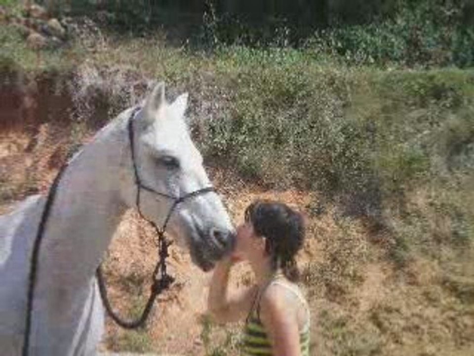 le 28 juin 08