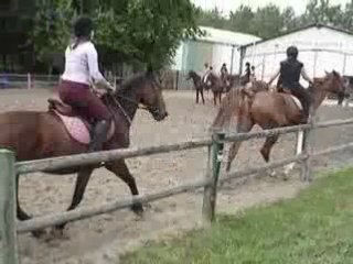 Biniou dernier cour001