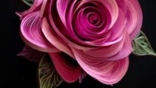 5 Min Pink Rose Paper Quilling | 4K UHD AMOLED Black Screen Relaxing Wallpaper