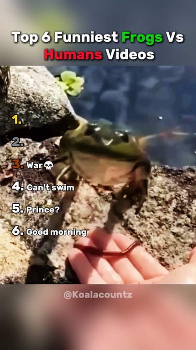 Ranking The Funniest Frog Videos💀😂