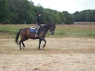 AS & rebell i nya stallet 002