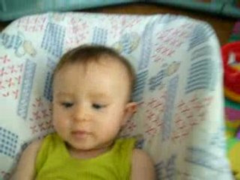 noah