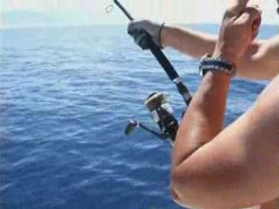 Jigging : Thon au  jig