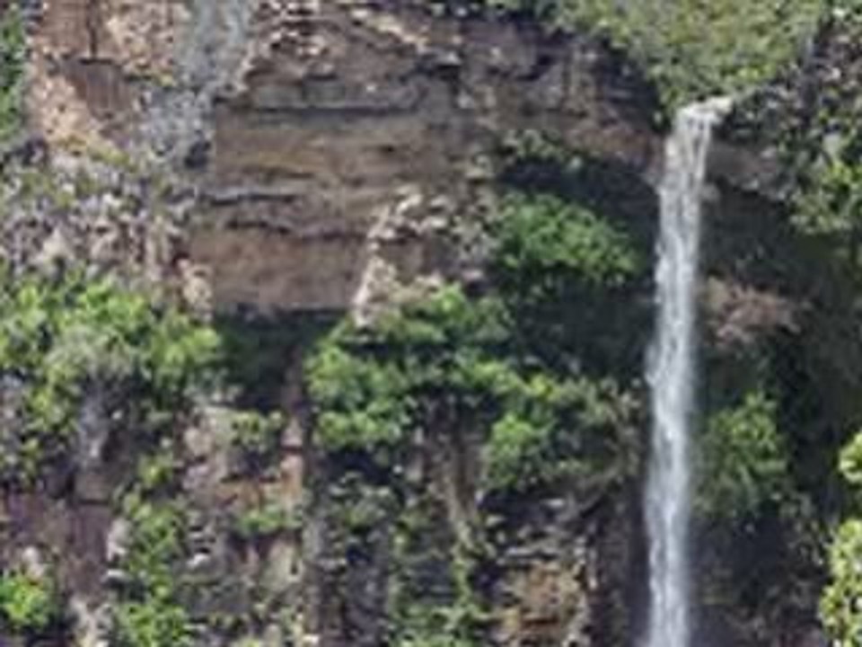 trahison