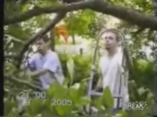 Cutting Down A Tree Branch