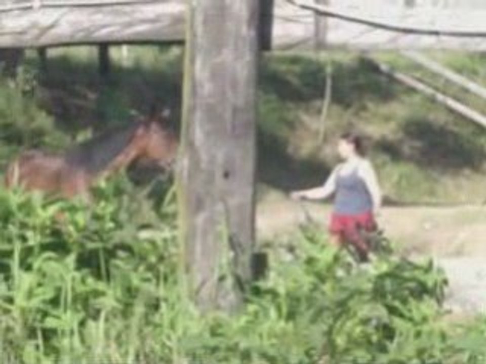 18.6.08jujus-centre-equitation